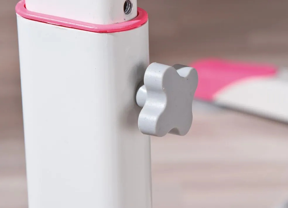 Bureau d'écolier 2COLORIDO