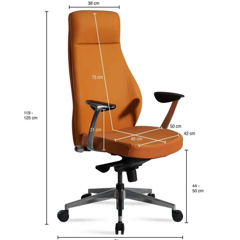 Chaise de bureau ARCAHAIE