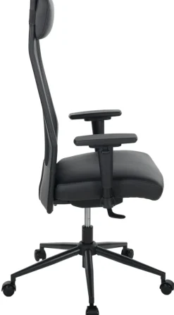 Chaise de bureau AUERBERG