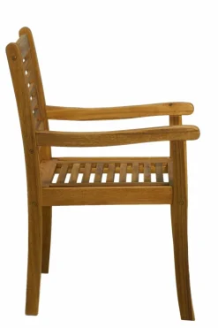 Fauteuil de jardin DEINZE