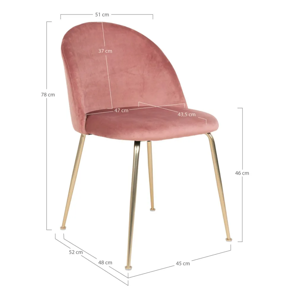 Lot de 2 chaises GENEVE