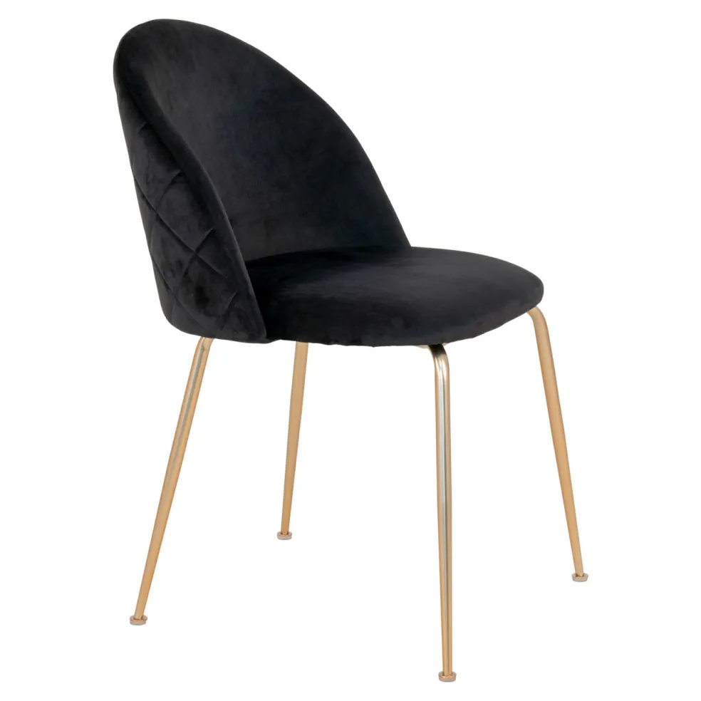 Lot de 2 chaises GENEVE