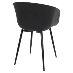 Lot de 2 chaises RODA