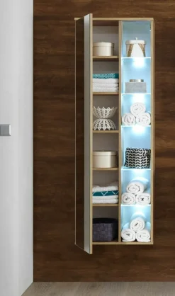 Meuble colonne à suspendre BEST