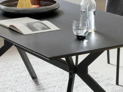 Table de repas BERINGEN