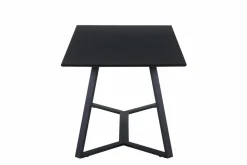 Table de repas BERINGEN