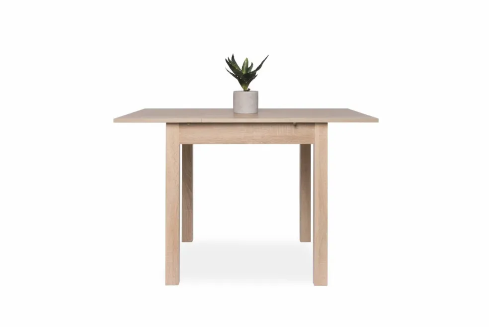 Table de repas COBURG 80