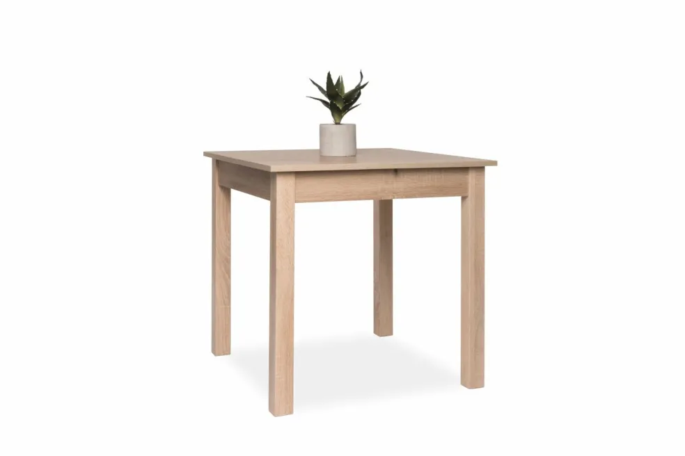 Table de repas COBURG 80