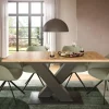 Table de repas extensible MOTION