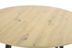 Table de repas HAGEN T