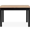 Table extensible COBURG 120