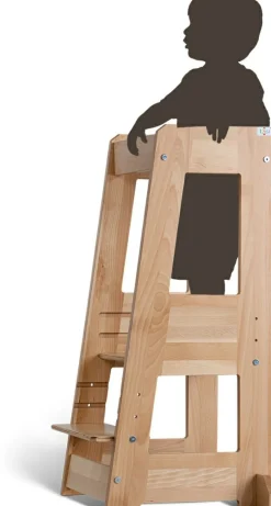 Tour d'observation FELIX