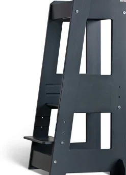 Tour d'observation FELIX